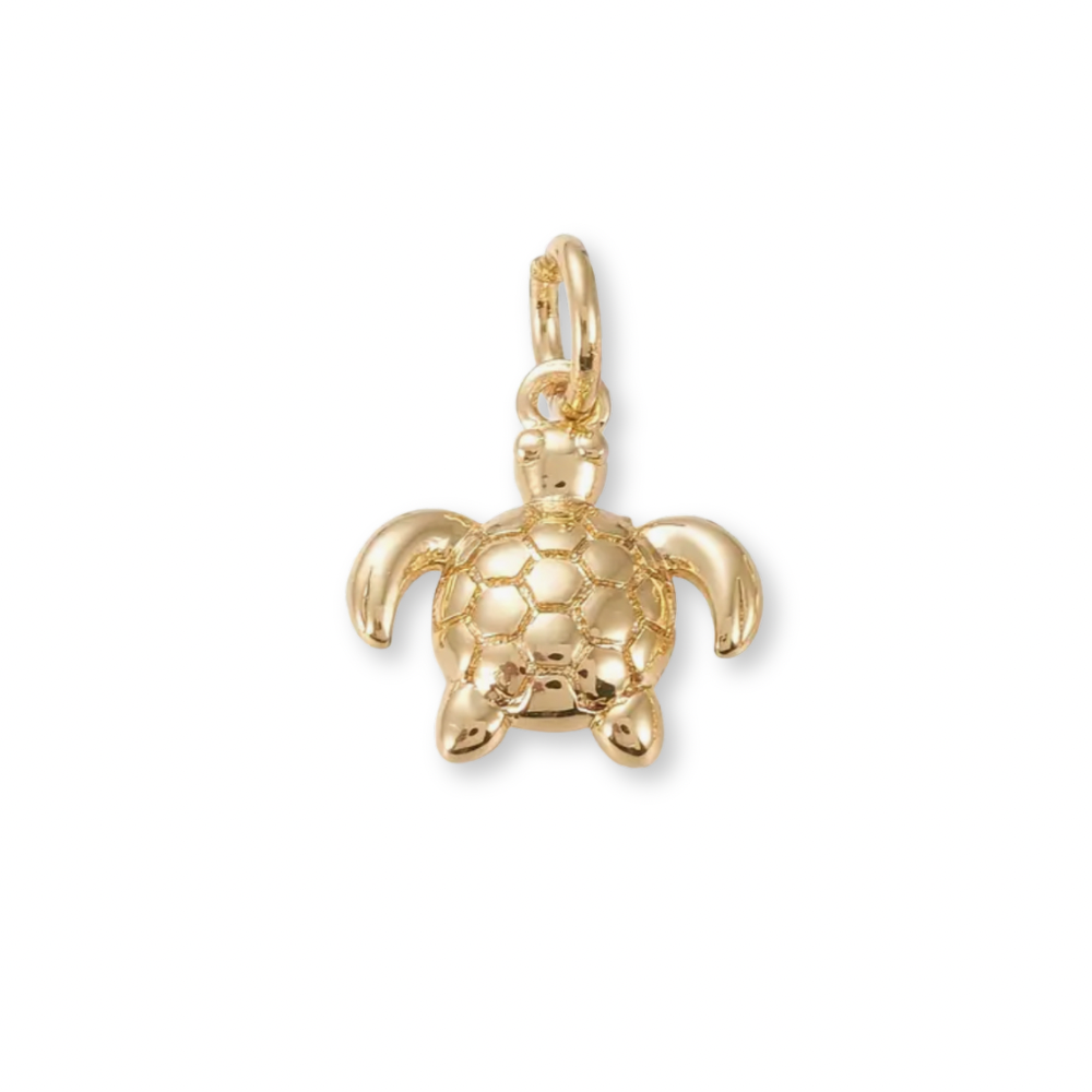 Turtle Charm