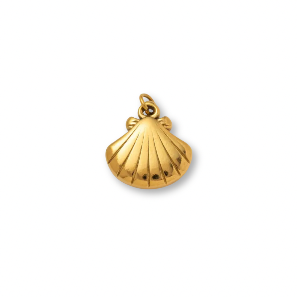 Shell Charm